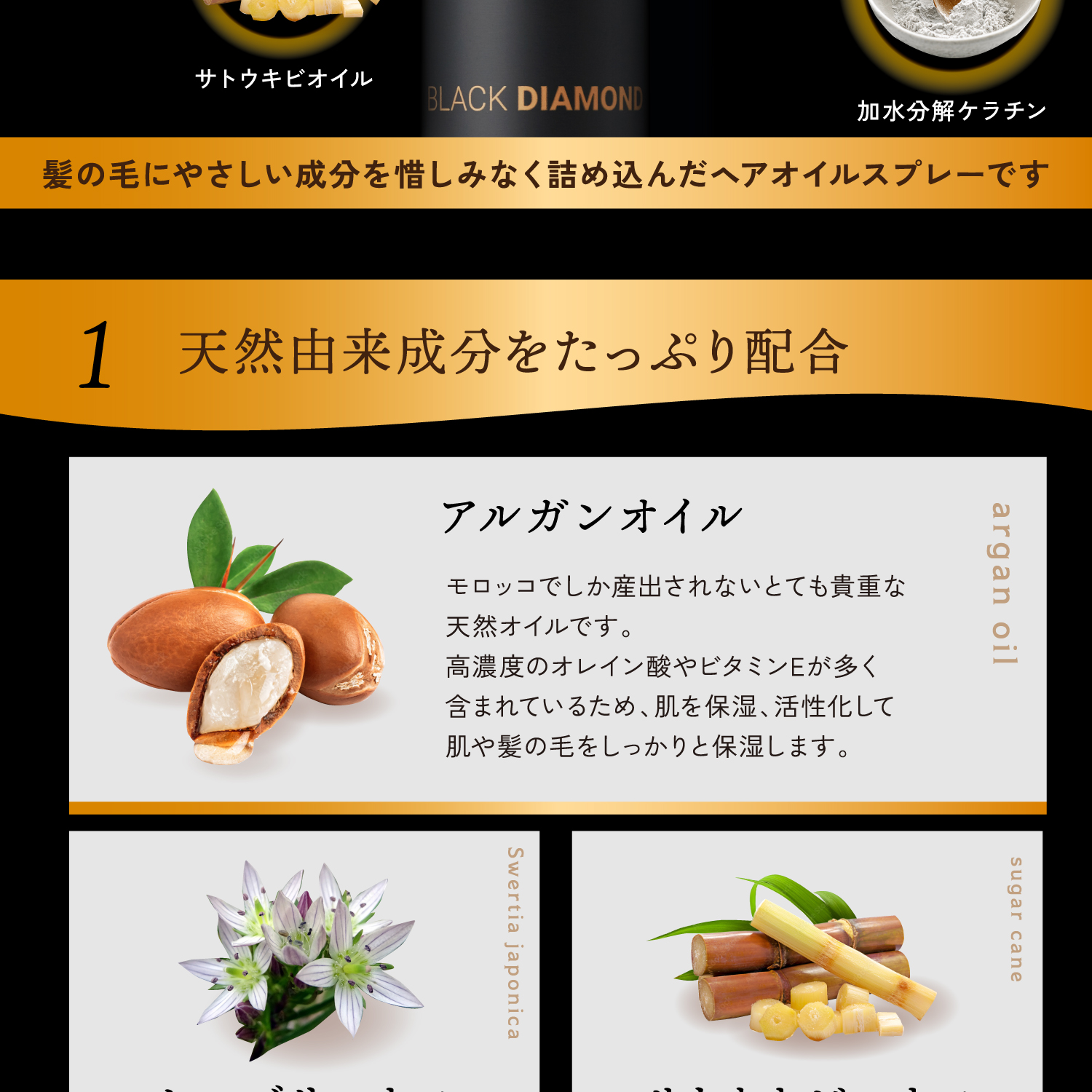 LandingPageImg-08