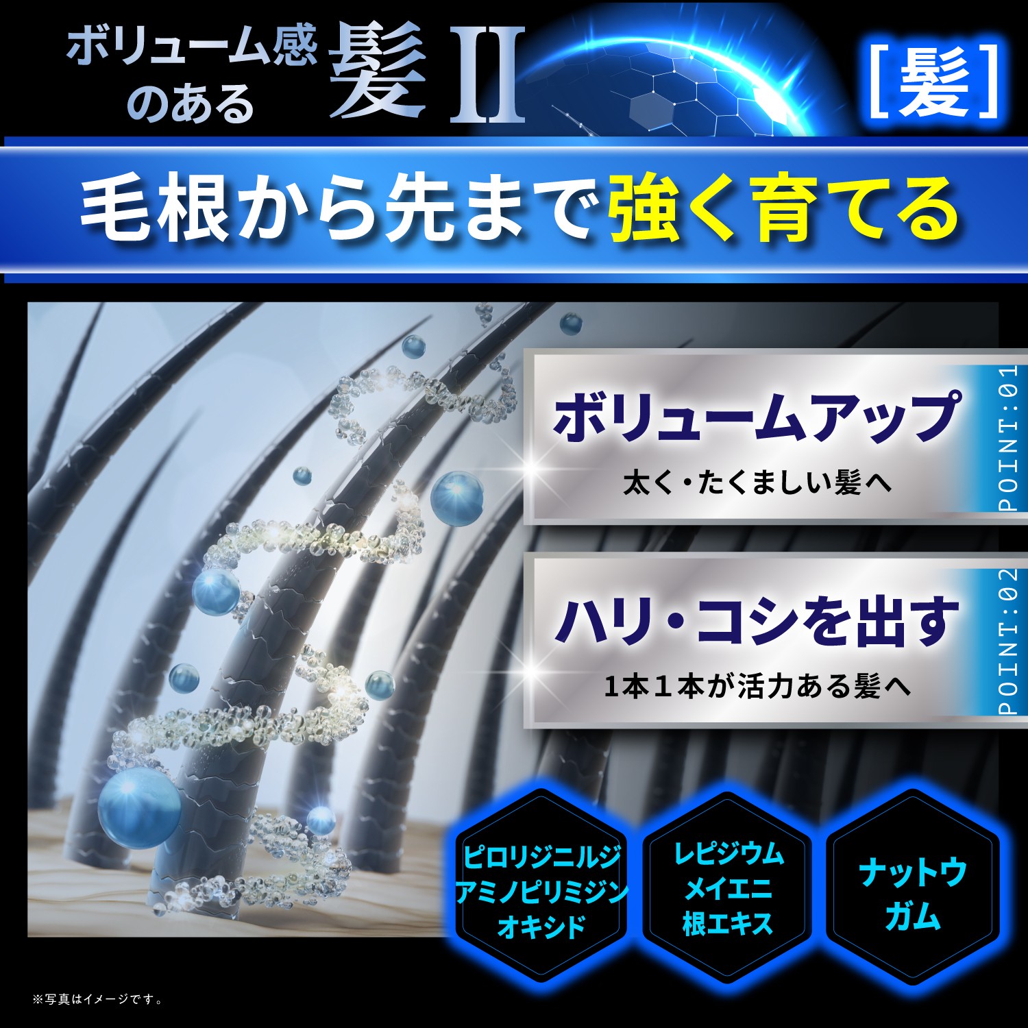 キョウゴク　レスキャルプセラムシャンプー 185mL 5本セット Kyogoku Professional / KYOGOKUレ スキャルプセラムシャンプー