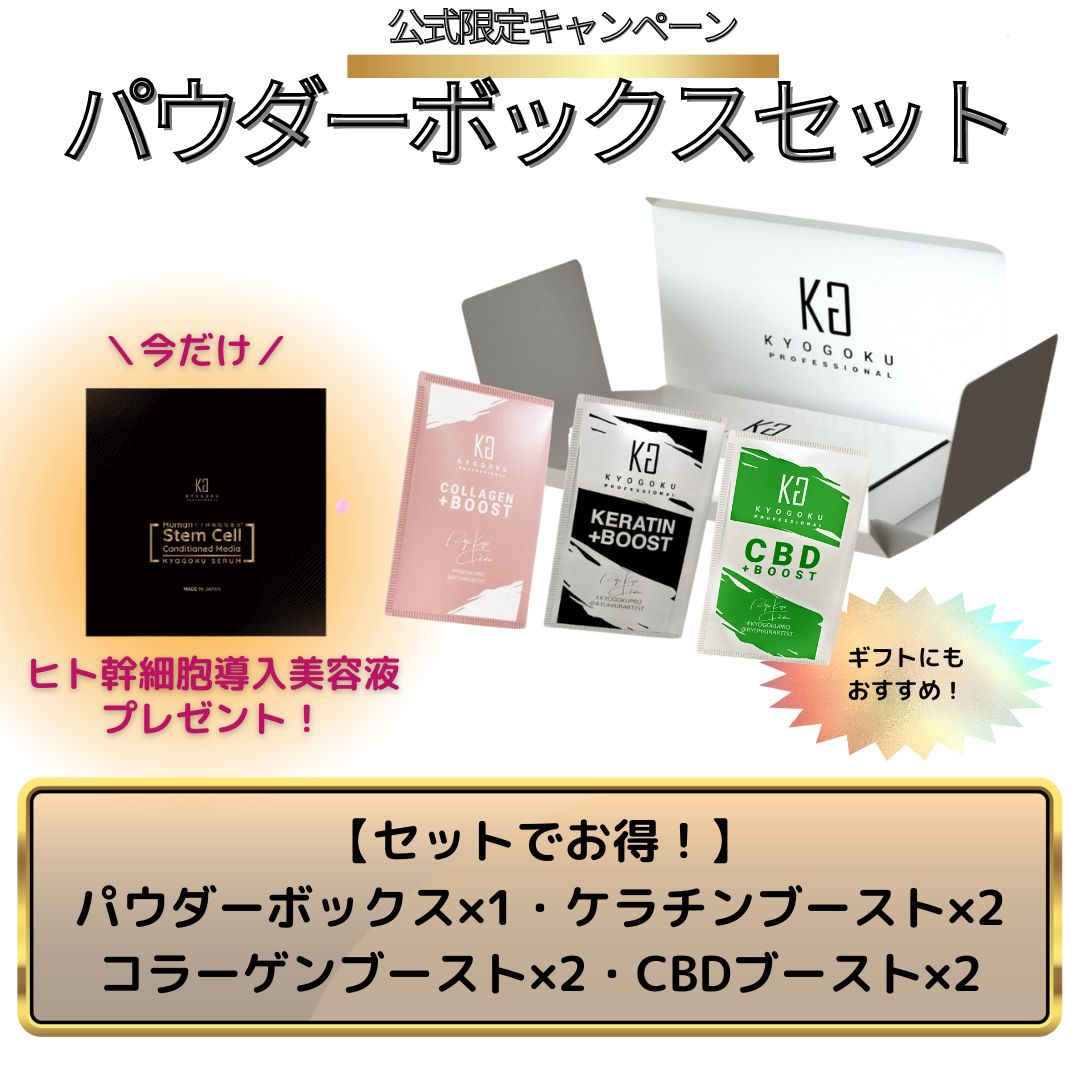 Kyogoku Professional / パウダーボックスお得ｓｅｔ（パウダー