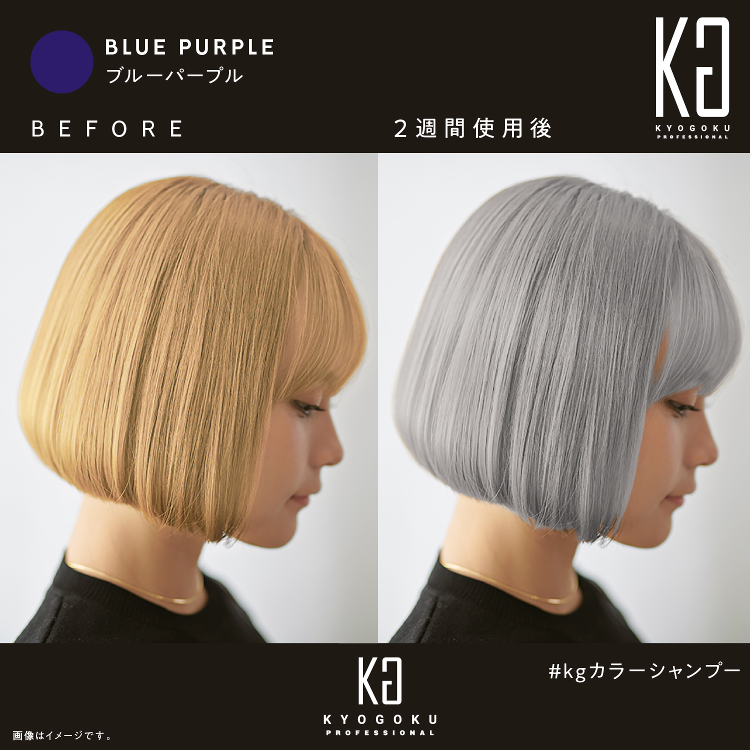 Kyogoku Professional KYOGOKU ブルーパープルカラーシャンプーBP ムラシャン 紫シャンプー ムラサキシャンプー
