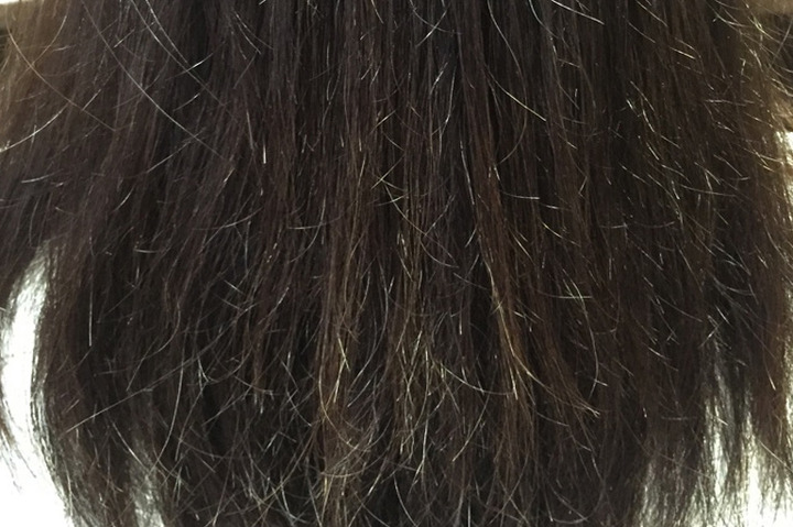 枝毛はどうして発生する 原因と対策を美容師が解説